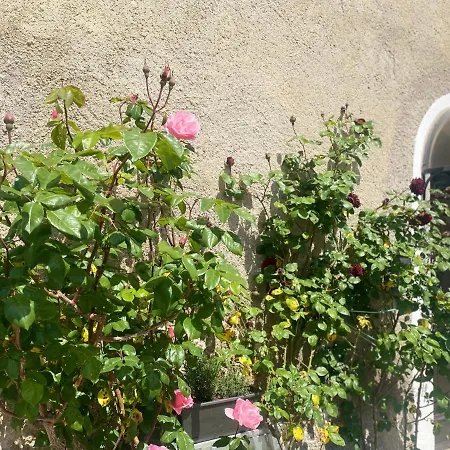 L'angolino Intero Tra Le Colline Toscane Bed & Breakfast Usigliano