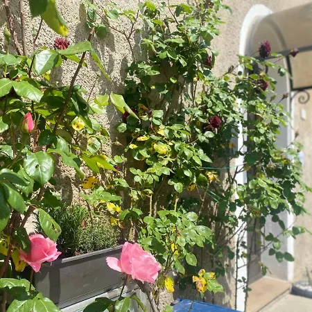 L'angolino Intero Tra Le Colline Toscane 4* Usigliano